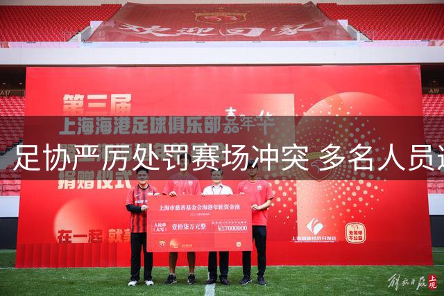 足协严厉处罚赛场冲突 多名人员遭禁赛罚款